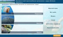Изучение путей приспособления организмов к среде обитания. Практика 1