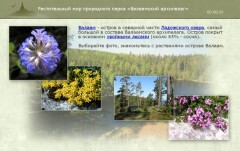 Растительный мир природного парка «Валаамский архипелаг»
